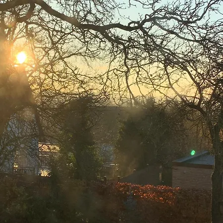 Lovely Bright Basement With Tea Kitchen Apartment *