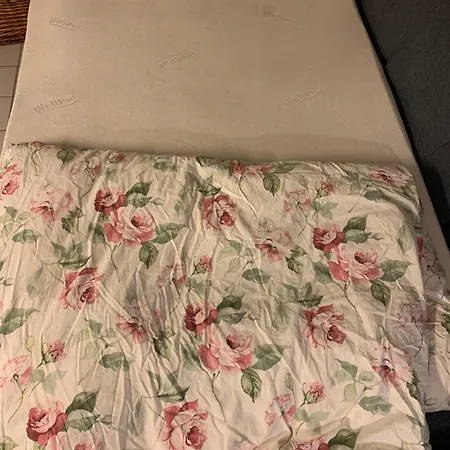 Apartment Lovely Bright Basement With Tea Kitchen *