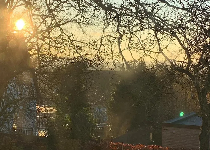 Lovely Bright Basement With Tea Kitchen Appartamento *