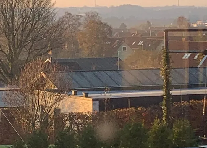 Lovely Bright Basement With Tea Kitchen *